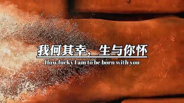 比“接力道歉”更重要的 是查补基金投资失分点
