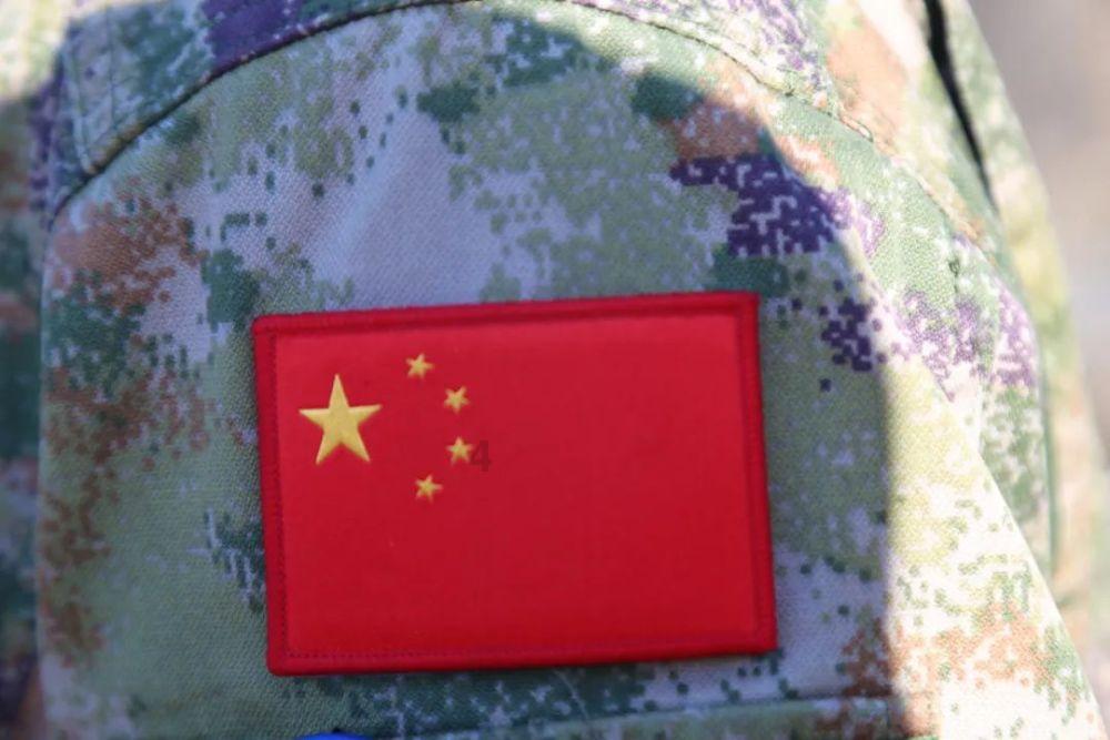 植物大战僵尸反击篇